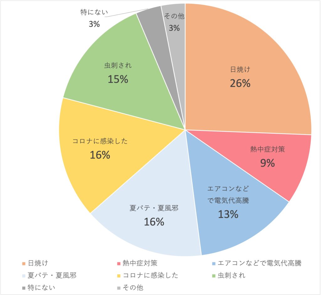 Q13.この夏の失敗や大変だったことは？